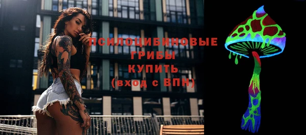 прущая мука Бронницы