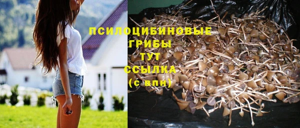 синтетический гашиш Бородино