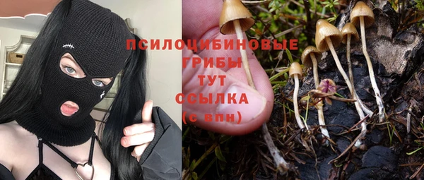 синтетический гашиш Бородино
